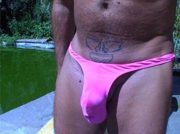 Image thumbnail of Gay bears