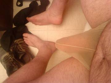 Image thumbnail of Gay bears