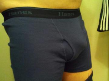 Image thumbnail of Gay bears