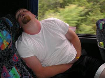 Image thumbnail of Gay bears