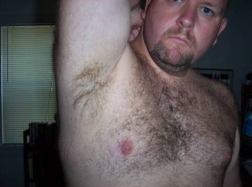 Image thumbnail of Gay bears