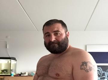 Image thumbnail of Gay bears