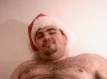 Image thumbnail of Gay bears