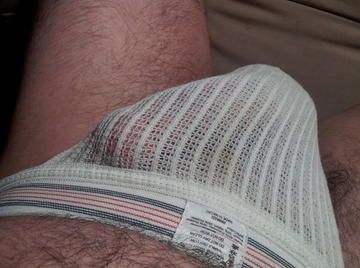 Image thumbnail of Gay bears