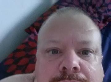 Image thumbnail of Gay bears