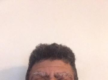 Image thumbnail of Gay bears