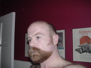 Image thumbnail of Gay bears