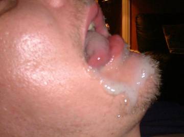 Image thumbnail of Gay bears