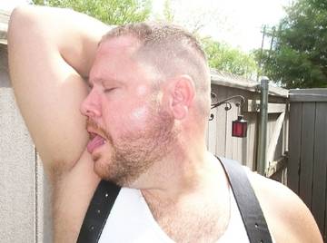 Image thumbnail of Gay bears