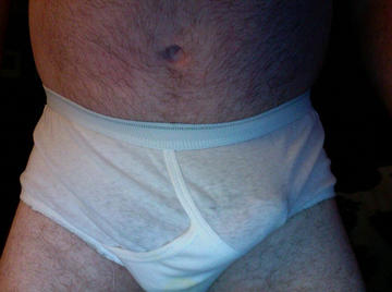 Image thumbnail of Gay bears