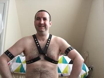 Image thumbnail of Gay bears