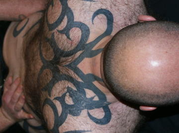 Image thumbnail of Gay bears