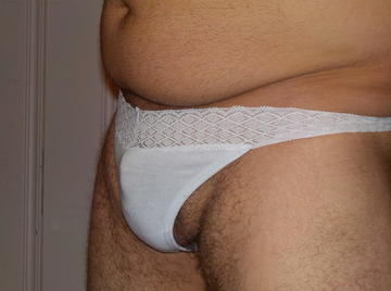 Image thumbnail of Gay bears