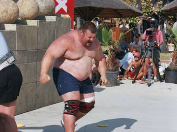 Image thumbnail of Gay bears