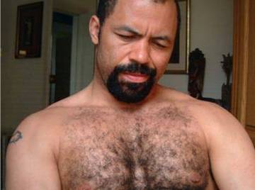 Image thumbnail of Gay bears