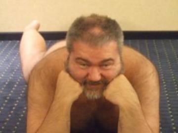 Image thumbnail of Gay bears