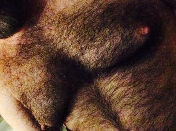 Image thumbnail of Gay bears