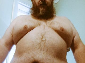 Image thumbnail of Gay bears