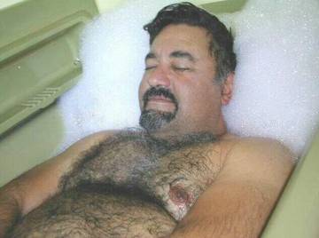 Image thumbnail of Gay bears