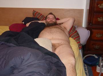 Image thumbnail of Gay bears