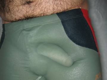 Image thumbnail of Gay bears