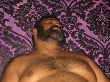 Image thumbnail of Gay bears