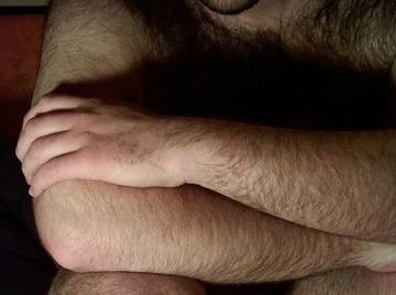 Image thumbnail of Gay bears