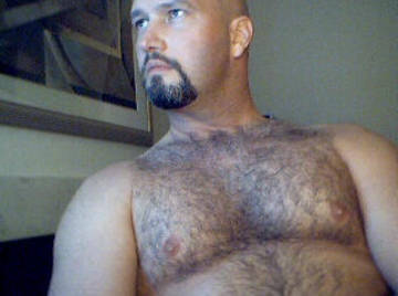 Image thumbnail of Gay bears