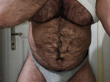 Image thumbnail of Gay bears