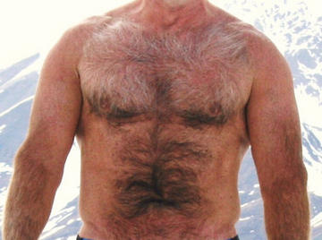 Image thumbnail of Gay bears