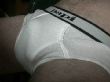 Image thumbnail of Gay bears