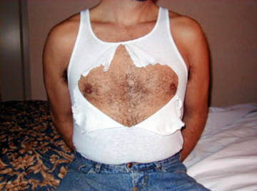 Image thumbnail of Gay bears