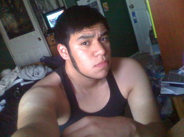 Image thumbnail of Gay bears