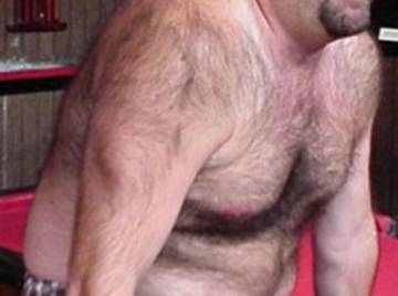 Image thumbnail of Gay bears