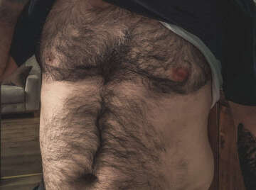 Image thumbnail of Gay bears