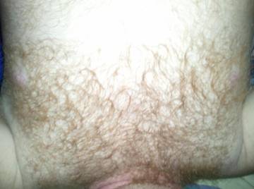 Image thumbnail of Gay bears