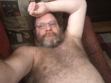 Image thumbnail of Gay bears