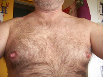 Image thumbnail of Gay bears