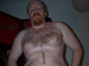 Image thumbnail of Gay bears