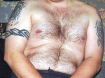 Image thumbnail of Gay bears