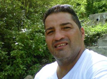 Image thumbnail of Gay bears