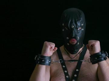 Image thumbnail of Gay bears