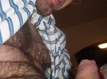 Image thumbnail of Gay bears