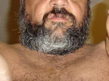 Image thumbnail of Gay bears