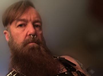 Image thumbnail of Gay bears