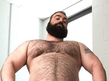 Image thumbnail of Gay bears