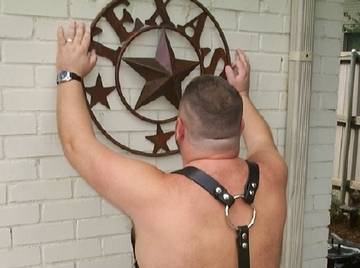 Image thumbnail of Gay bears