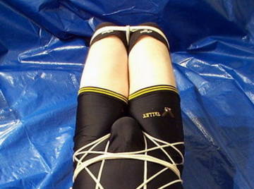 Image thumbnail of Gay bears