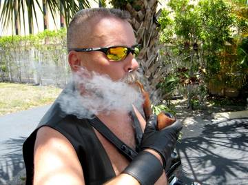 Image thumbnail of Gay bears