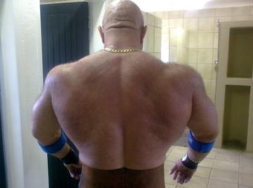 Image thumbnail of Gay bears